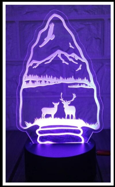 Clear Acrylic Handmade LED Tabletop Night Light with Unique Designs