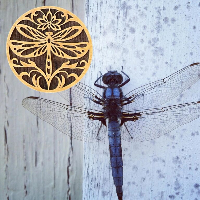 Dragonfly Laser Cut Lightweight Wood Coasters Set of 4 1