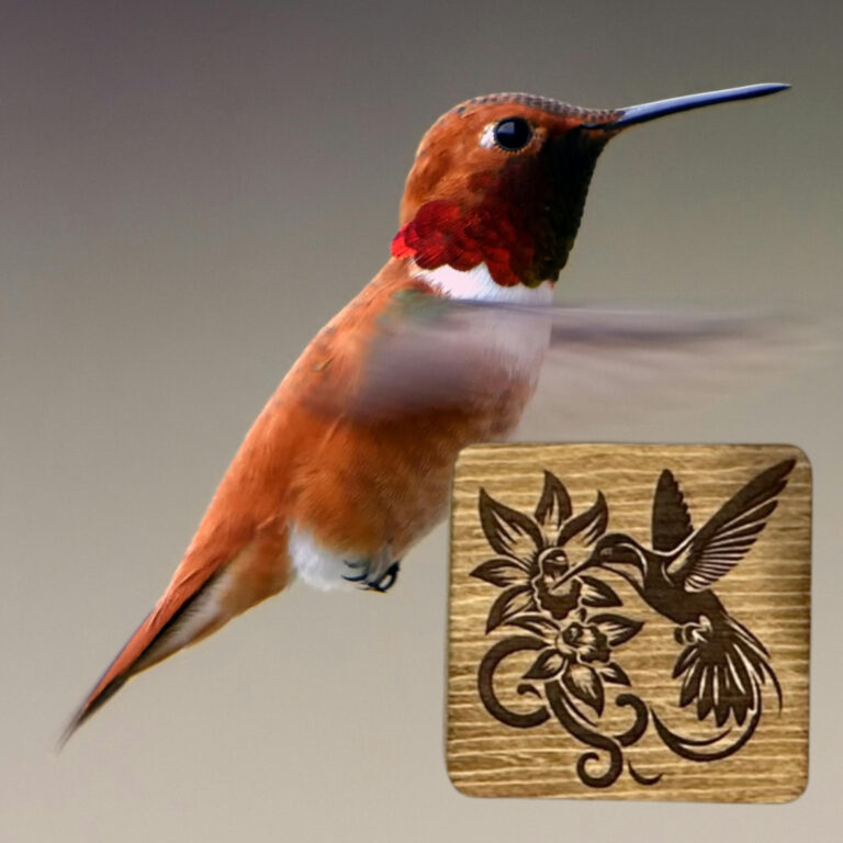 Hummingbird Wood Coasters Set of 4 1