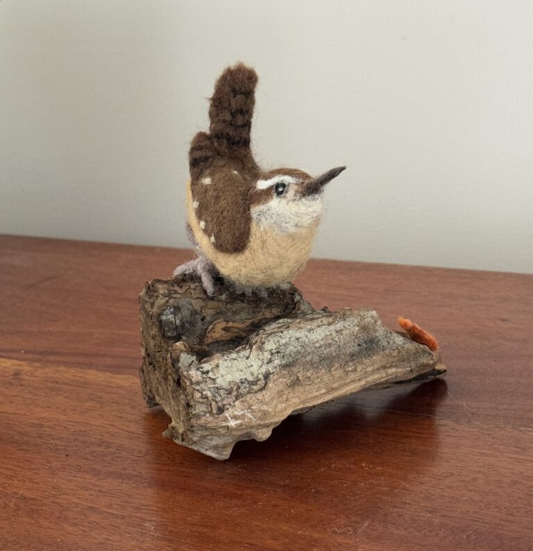 Needle Carolina Wren by CeeBeers