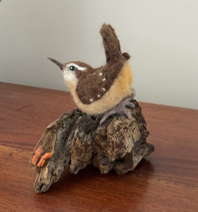Needle Carolina Wren by CeeBeers