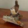 Needle Carolina Wren by CeeBeers