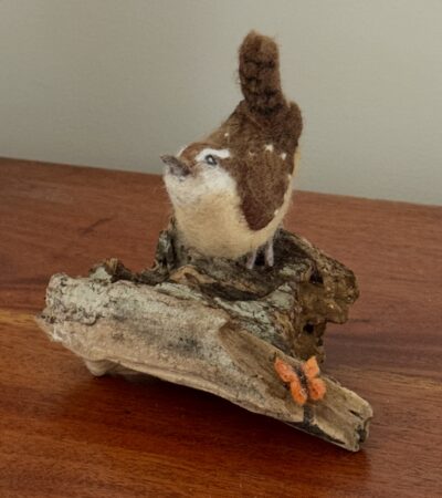 Needle Carolina Wren by CeeBeers