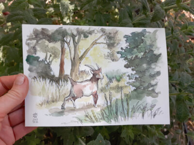 Goat In the Grasslands Original Watercolor Painting