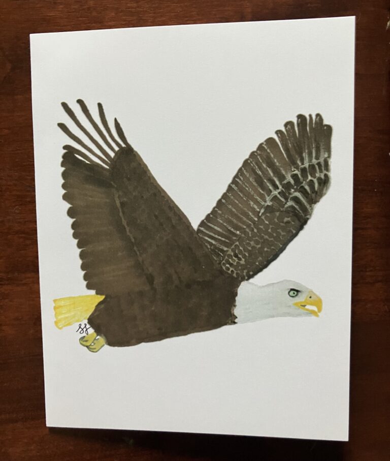 IMG 0402