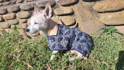 Starburst Granny Square Crochet Dog Sweater