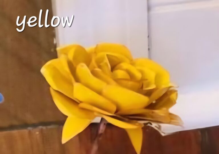 Screenshot 20250310 164800 Photos1