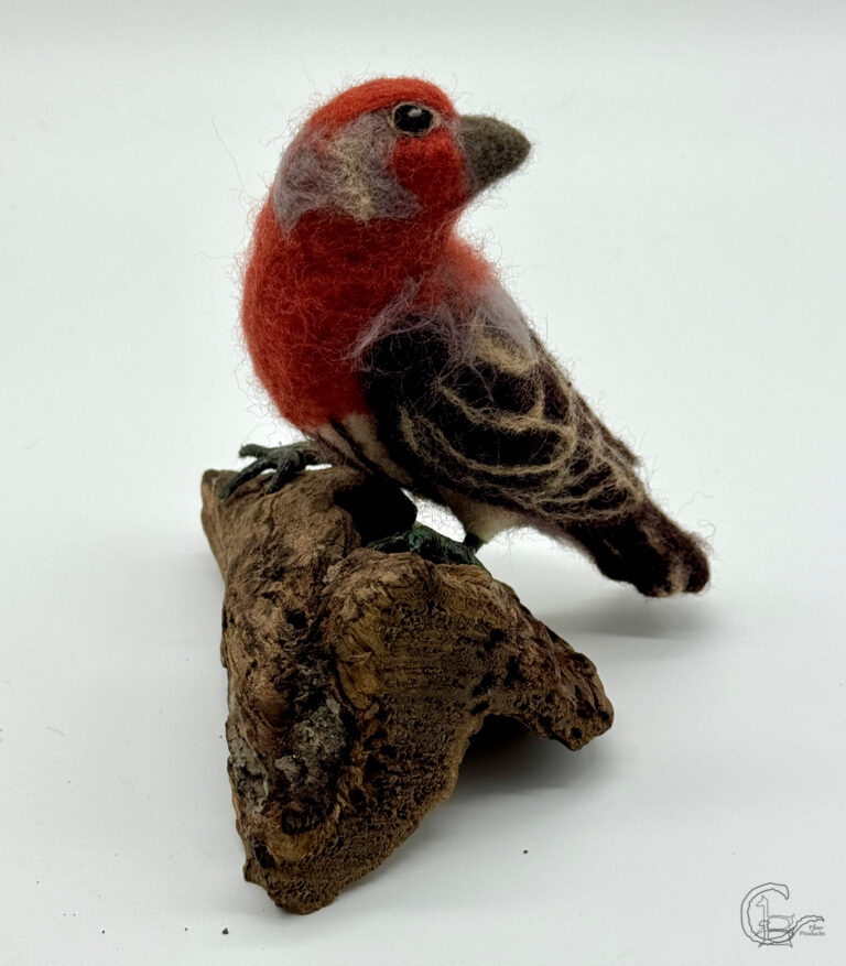 Needle felt House finch by CeeBeersa