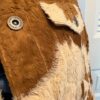 Calf Jacket close up detail