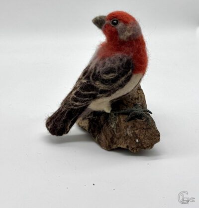 Needle felt Autumn sweet House finch