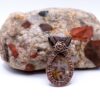 Rustic Spirit Wire Wrapped Brown Moss Agate Necklace