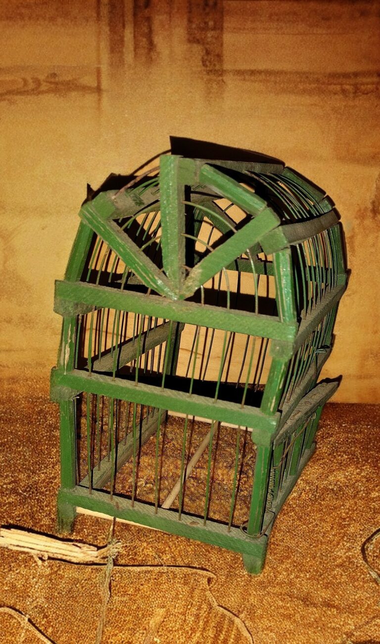 Vintage Primitive Wood and Wire Bird Cage 4 IMG 20251102 2145252792
