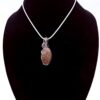 Photo of Ancient Calm Wire Wrapped Petrified Wood Necklace on a neck form