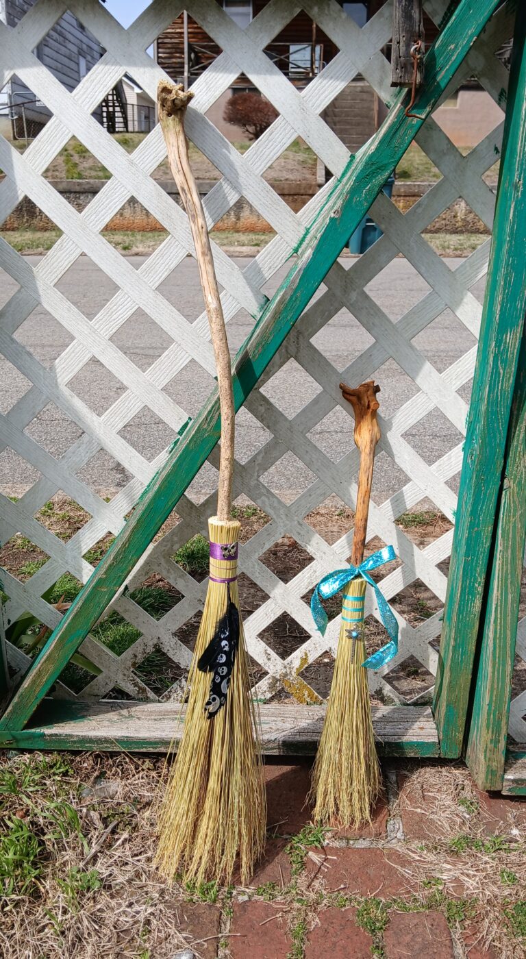 Dragonfly hearth broom 2 20260304 120831