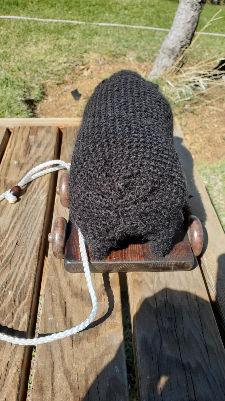 Sheep back