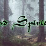Wood Spirit Designs