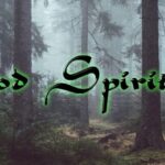 Wood Spirit Designs