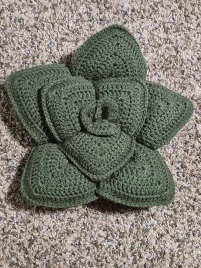 Crochet Succulent Pillow