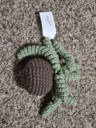 Crochet Plant