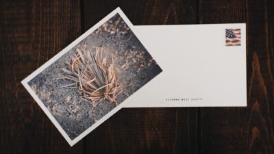 Suzanna West Photo Cards