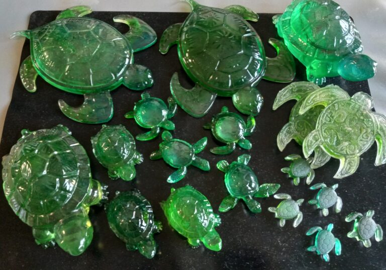 Turtle 2 20260918 121008