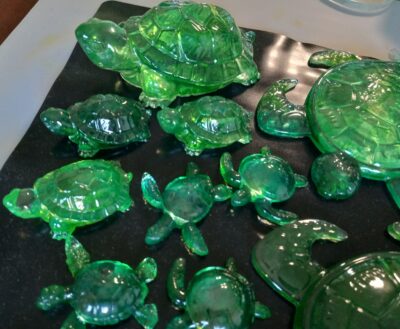 Turtle