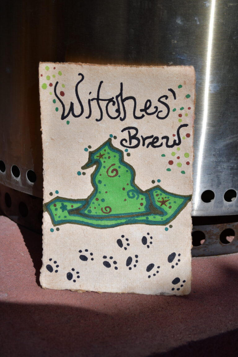 Witches' Brew Drawing with Cat 1 DSC 1537