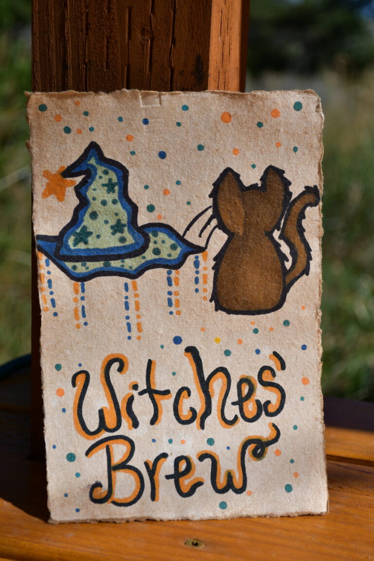DSC 1542