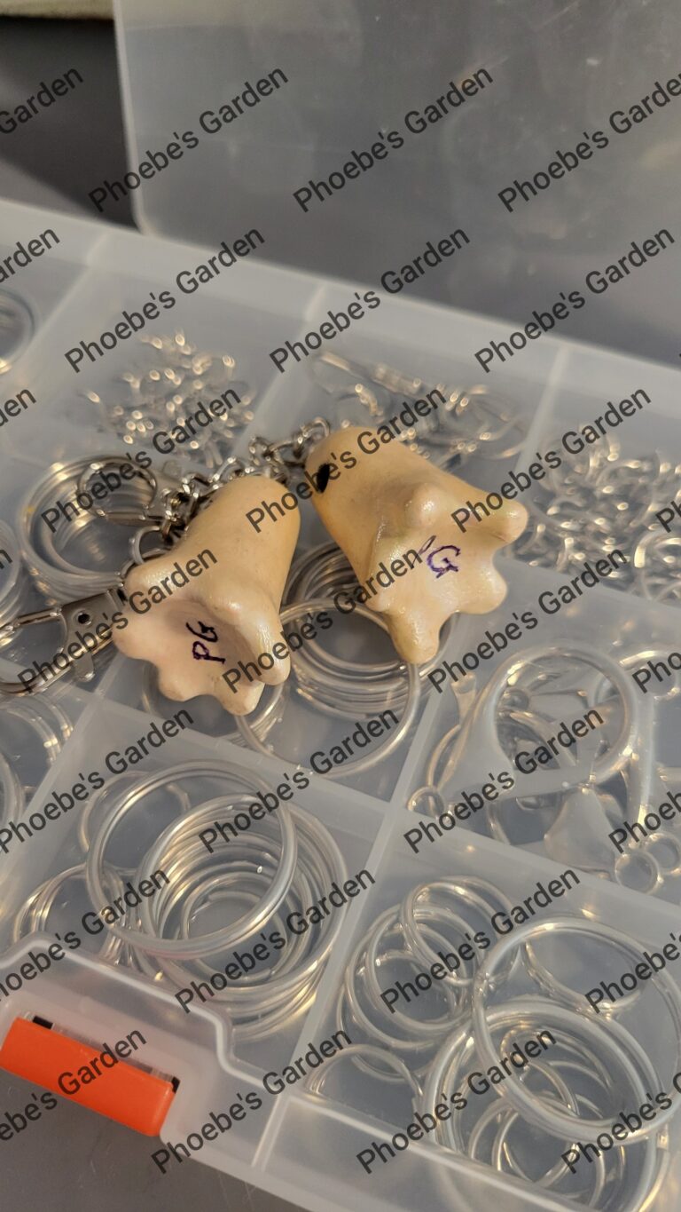 photostudio 1789092335257