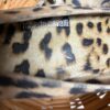 Cavalli Pumps inside label